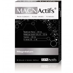 Aragan Synactifs MagnActifs 60 g&eacute;lules