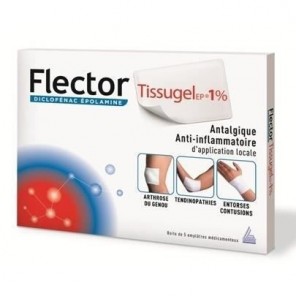 Flectortissugelep 1 % Empl&acirc;tre M&eacute;dicamenteux 5 enveloppes
