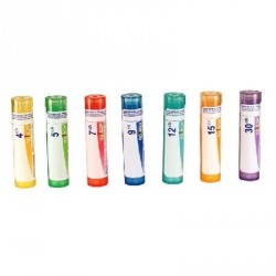 Calcarea Carbonica Ostrearum Granules 4g