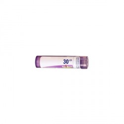 Boiron arnica montana granules 30CH 4g