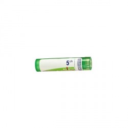 Boiron carbo v&eacute;g&eacute;talis granules 5CH 4g