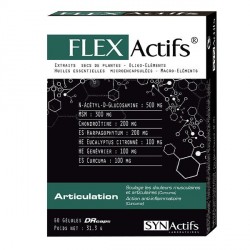 Aragan synactifs flexactifs 60 g&eacute;lules